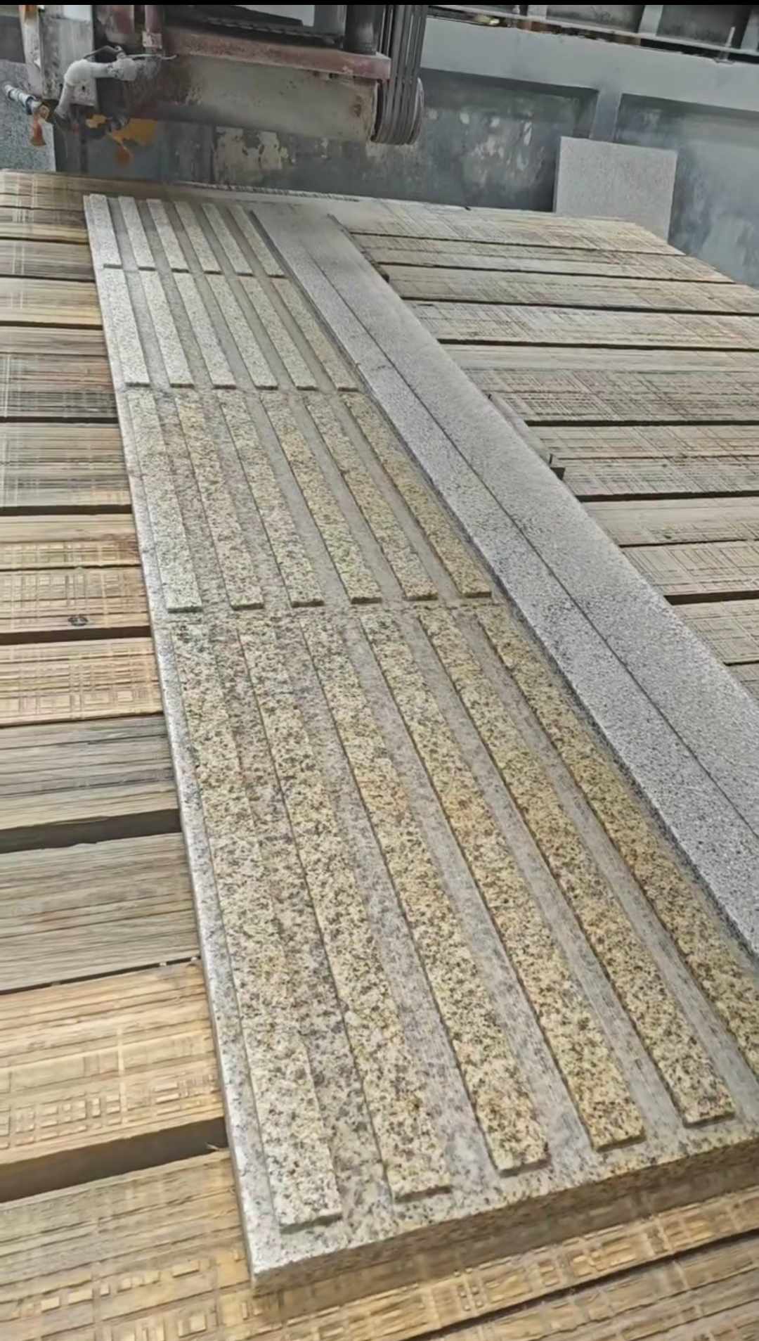 固原黄金麻盲道石 盲条